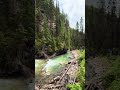 Beautiful forest #rain #canada #world #nature #earth #beautiful #scenery #forest #rain #waterfall