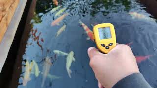 infrared thermometer for koi pond? does it work? screenshot 5