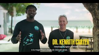 Silversands Resort Building The Africa-Caribbean Bridge Afreximbank Impact Stories Season 2