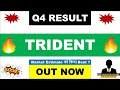 Trident q4 results 2024  trident share results today  trident results  trident share news