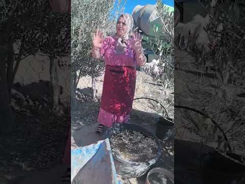 ياحي ياقيوم برحمتك أستغيث اقضي لي أمري كله ولا تكلني إلى نفسي طرفة عين