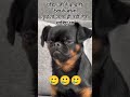 yha m tut gya 🥺comedy#youtubeshort#youtubevideo#comedyviral#short#like#share#subscribe#youtube