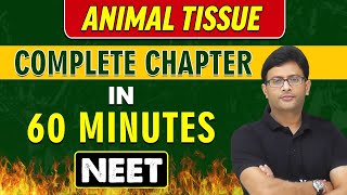 ANIMAL TISSUE in 60 Minutes || Complete Chapter for NEET