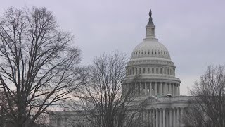 President Trump Making It Easier For U.s. Citizens To Renounce Their Citizenship