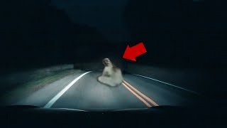 The 15 Scariest DASHCAM Videos EVER
Join me on my journey to Sanctuary on https://www.twitch.tv/frostlinger and hang out with me, chat live, and experience a fantastic adventure this summer! Starting June 1st 4PM PST.
Today we explore Ghosts, ghost hunters, poltergeists, and general paranormal activity all caught on camera. We analyze mysterious and unexplainable events that fans have caught on tape. Mysterious Events are getting caught on tape all around the world.
►
👑 Become a MEMBER of my Kingdom:
https://youtube.com/c/kingfrostmare/join
📌
INSTAGRAM: kingfrostmare
MERCH: https://teespring.com/stores/frostmares-kingdom
TWITTER: https://twitter.com/FrostmareTV
Email: frostmaretv@gmail.com
🎧
video music by:
Kevin MacLeod (incompetech.com)
Licensed under Creative Commons: By Attribution 3.0,
CO.AG: https://www.youtube.com/channel/UCcavSftXHgxLBWwLDm_bNvA,
myuu: https://www.youtube.com/user/myuuji
Haunting Dreams by Twin Musicom is licensed under a Creative Commons Attribution 4.0 license. https://creativecommons.org/licenses/by/4.0/
Source: http://www.twinmusicom.org/song/249/haunting-dreams
Artist: http://www.twinmusicom.org
📜
Sources:
►
If you own the copyright of the content shown in this video and would like it to be removed please contact::
► frostmaretv@gmail.com The 15 Scariest DASHCAM Videos EVER