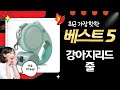강아지 자동 리드줄 비교! 페슬러/개과천선/딩동펫/디모어 (ft. 4가지)