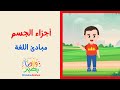     تعليم العربي المصري للأطفال أجزاء الجسم