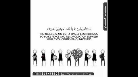 انما المؤمنون إخوة 💚 حالات واتس اب تلاوات..