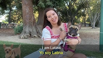 We Are Somos — A Million Data Points