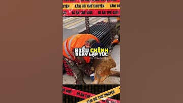 Vì sao làm đường ống k cần đào đường nữa - Tám sự thật thú vị #suthatthuvi #facts #cothebanchuabiet