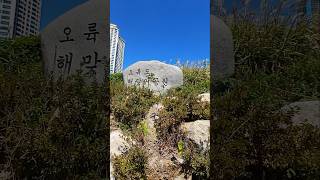 오륙도해맞이공원 영상