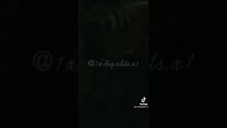 Dog edit Video Part 1