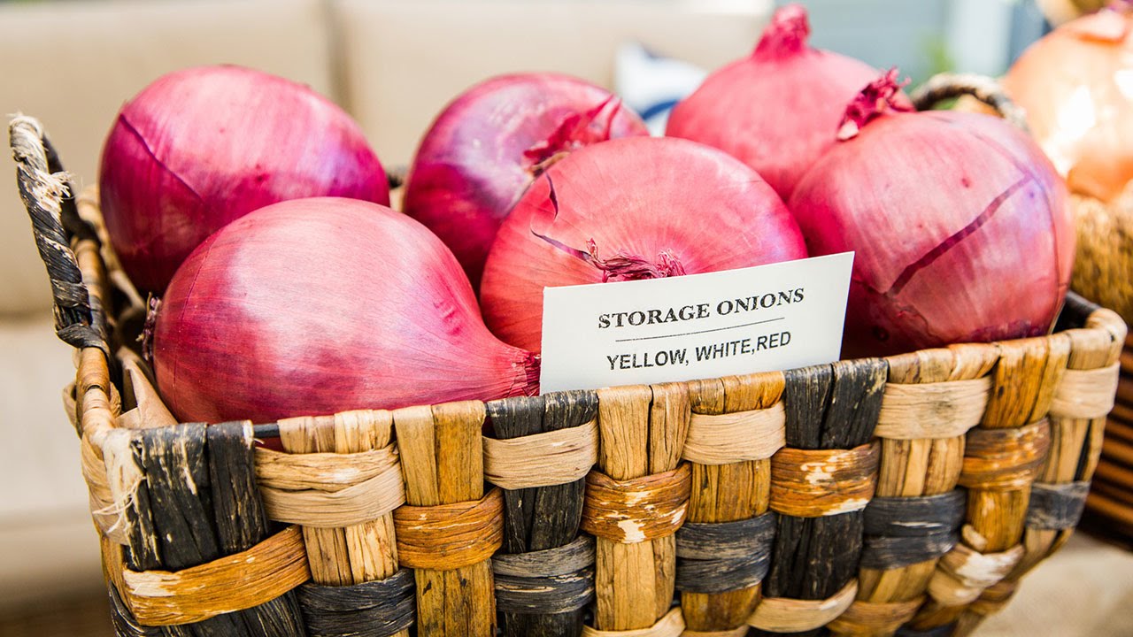 Shirley Bovshow's Tips to Growing Perfect Onions YouTube