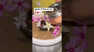 Shiv ke rang m aisi doobhi 🐚 #sanskar 💐🌍 ओम 🕉️ नमः शिवाय