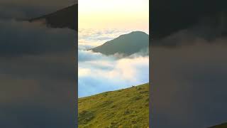 Bulutların Üstünde Hayat