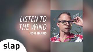 Watch Jesse Harris The Wind video