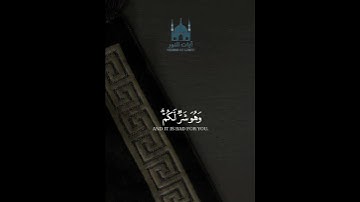 الآية 216 من سورة البقرة بصوت مشاري العفاسي #القرآن_الكريم #راحة_نفسية