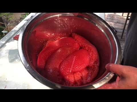 วีดีโอ: สิ่งที่ต้องทำจากปลาแซลมอนสีชมพูแช่แข็ง