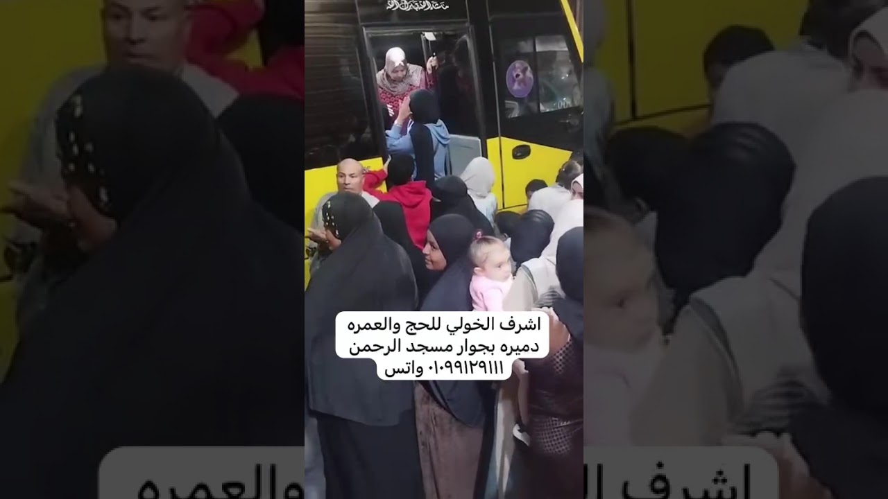 ١٥ نوفمبر، ٢٠٢٥