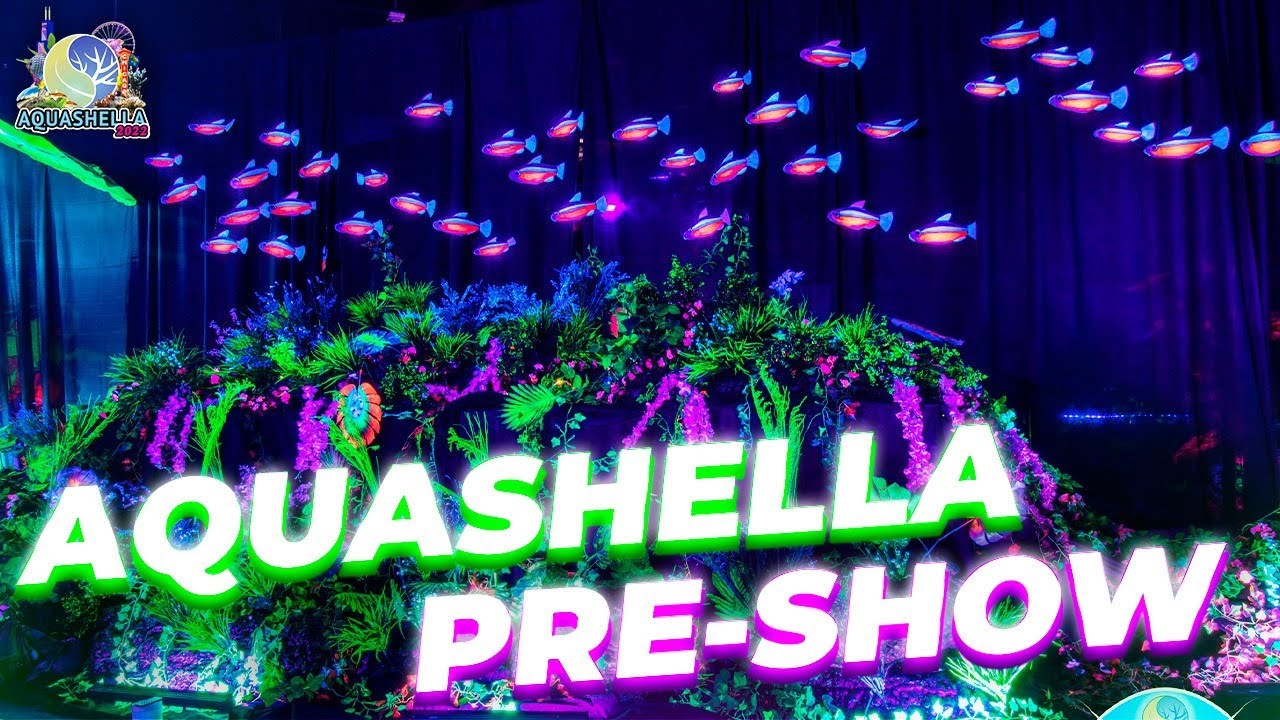 The OFFICIAL PreShow for Aquashella Chicago 2022 YouTube