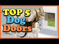 Top 5 Best Dog Doors of 2021