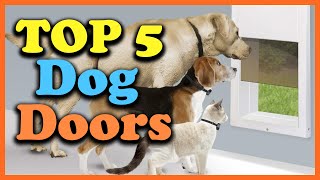 ✅Top 5 Best Dog Doors of 2023