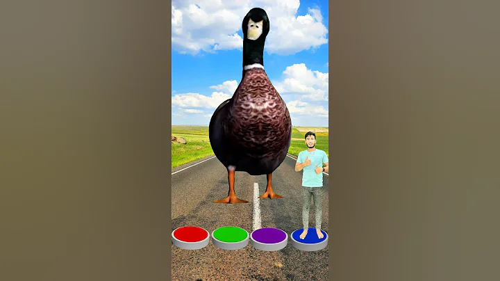 I Jump on button to Parrot, Pigeon, Peacock & Duck - Funny vfx magic