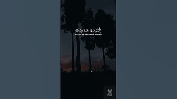 تلاوة تخشع القلوب لشيخ ياسر الدوسري من سورة الزخرف