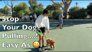 What Causes Dogs To Pull