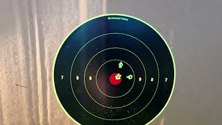 Sight mark wraith 4K max  3-24x50 day night rifle scope zeroing and review mannlicher pro Hunter 243