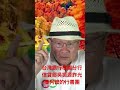 2026/08/11曰-1