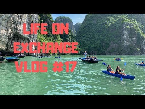 वीडियो: जुलाई में वियतनाम में छुट्टियाँ