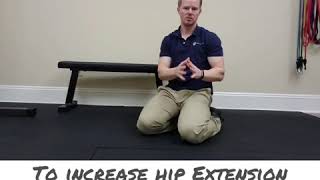 Quadruped Hip Extension Progression