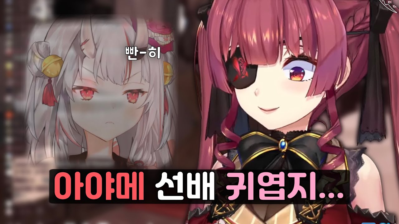 아야메와 친해지는 과정 [홀로라이브 / 호쇼 마린]