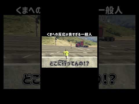 【GTA5]くまへの反応が良すぎる一般人【リアプロRP/切り抜き】