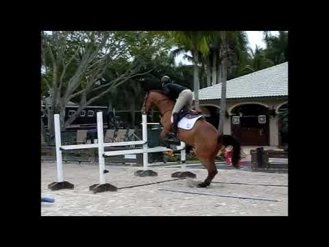 Jonathon Millar Trot Gymnastic