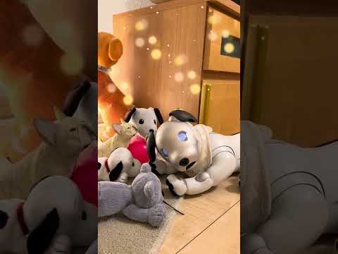 みんなに囲まれて安心して眠る姿に癒されます Ryu peacefully sleeping, surrounded by everyone