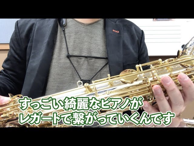 Yanagisawa Silver Sonic WO30 BSB】ヤナギサワバリトンの最高峰！お