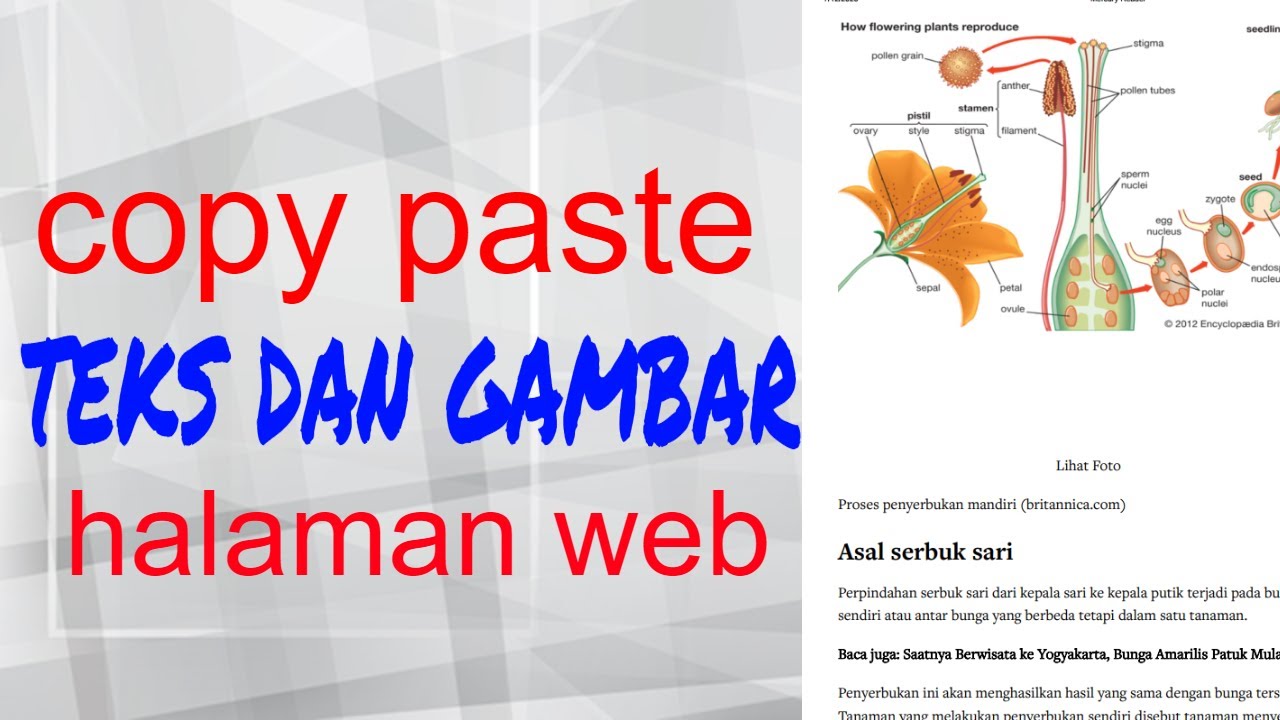 CARA COPY PASTE HALAMAN WEB BESERTA GAMBARNYA KE MS WORD || BAHASA ...