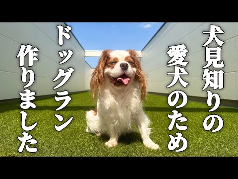 犬見知りキャバリア犬のために自宅屋上にドッグランを作ってみた!果たして愛犬の反応は…⁉︎