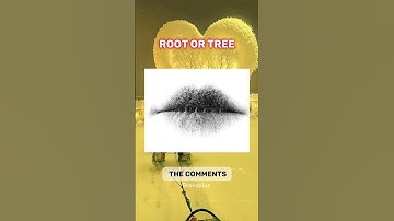 introvert vs extrovert test #shorts #science