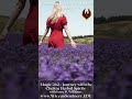 WSTS Winter Session 2026: Begin Your Next Magical Chapter