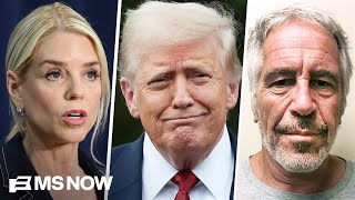 Trump got rid of Bondi because 'she was about to be deposed' in Epstein case: Dem Rep. Wealth
