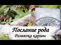 Послание предков: Как развязать кармический узел? Таро расклад. Послание от вашего рода.