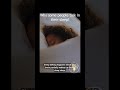 Why some people talk in their sleep?