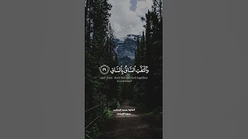 تلاوة عطرة للقارئ سعيد الخطيب
