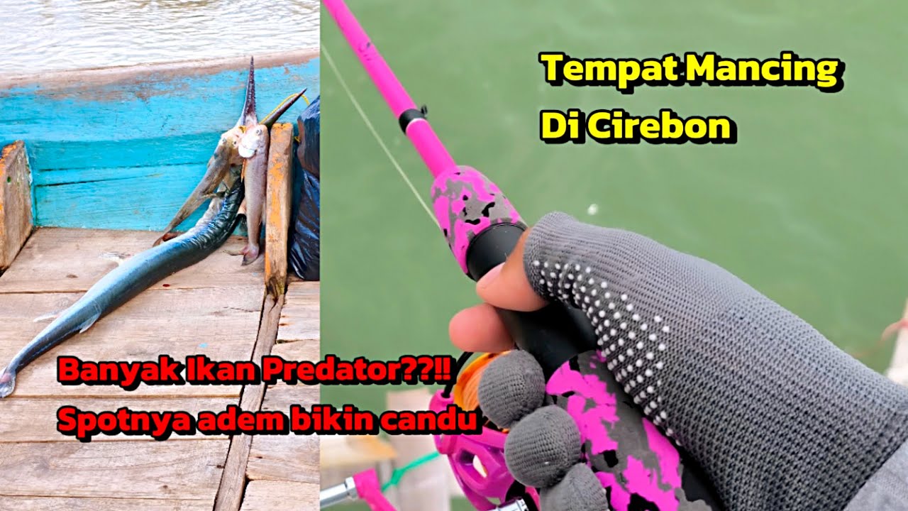Eps 07. " Tempat Mancing Di Cirebon " || Spot yang indah, Pemandangannya mempesona ||