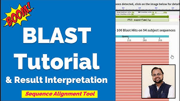 What is BLAST? - Tutorial & Interpretation