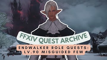 Lv.90 Misguided Few | No Commentary | FFXIV Quest Archive