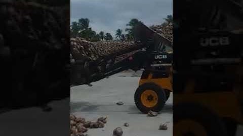 JCB 2DXL loader coirs industry #shorts11